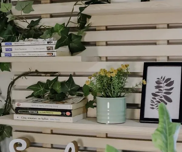 Forget Me Not Kavala