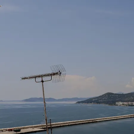 Forget Me Not * Kavala