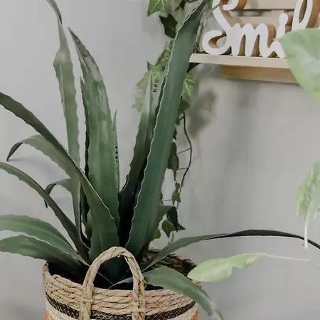 Forget Me Not * Kavala