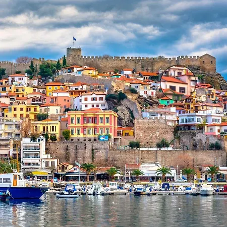 Forget Me Not Kavala